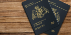 نموذج إقرار التنازل عن جواز السفر pdf
