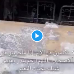 بالفيديو .. سبب مقتل بندر القرهدي