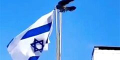 فيديو غراب يمزق علم اسرائيل يثير ضجة في التواصل